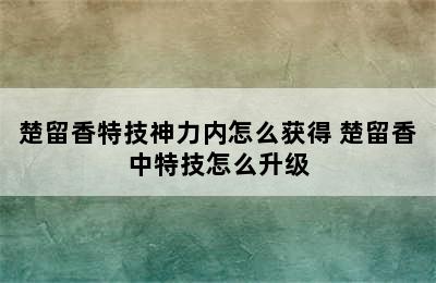 楚留香特技神力内怎么获得 楚留香中特技怎么升级